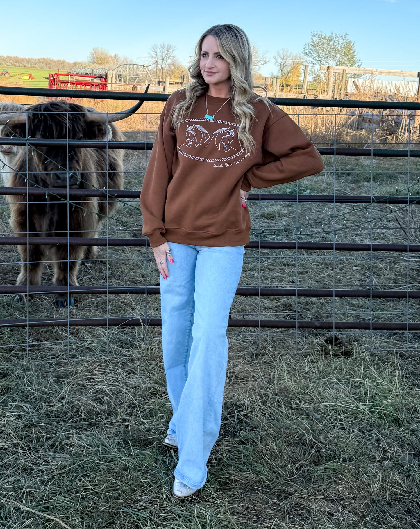 Rusty Horses Sweatshirt