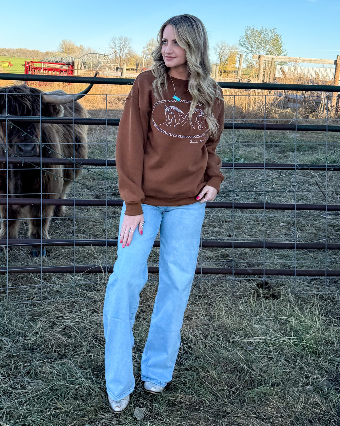 Rusty Horses Sweatshirt