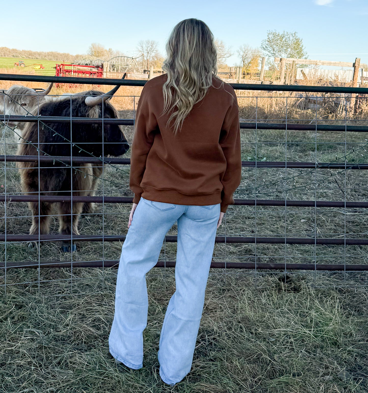 Rusty Horses Sweatshirt