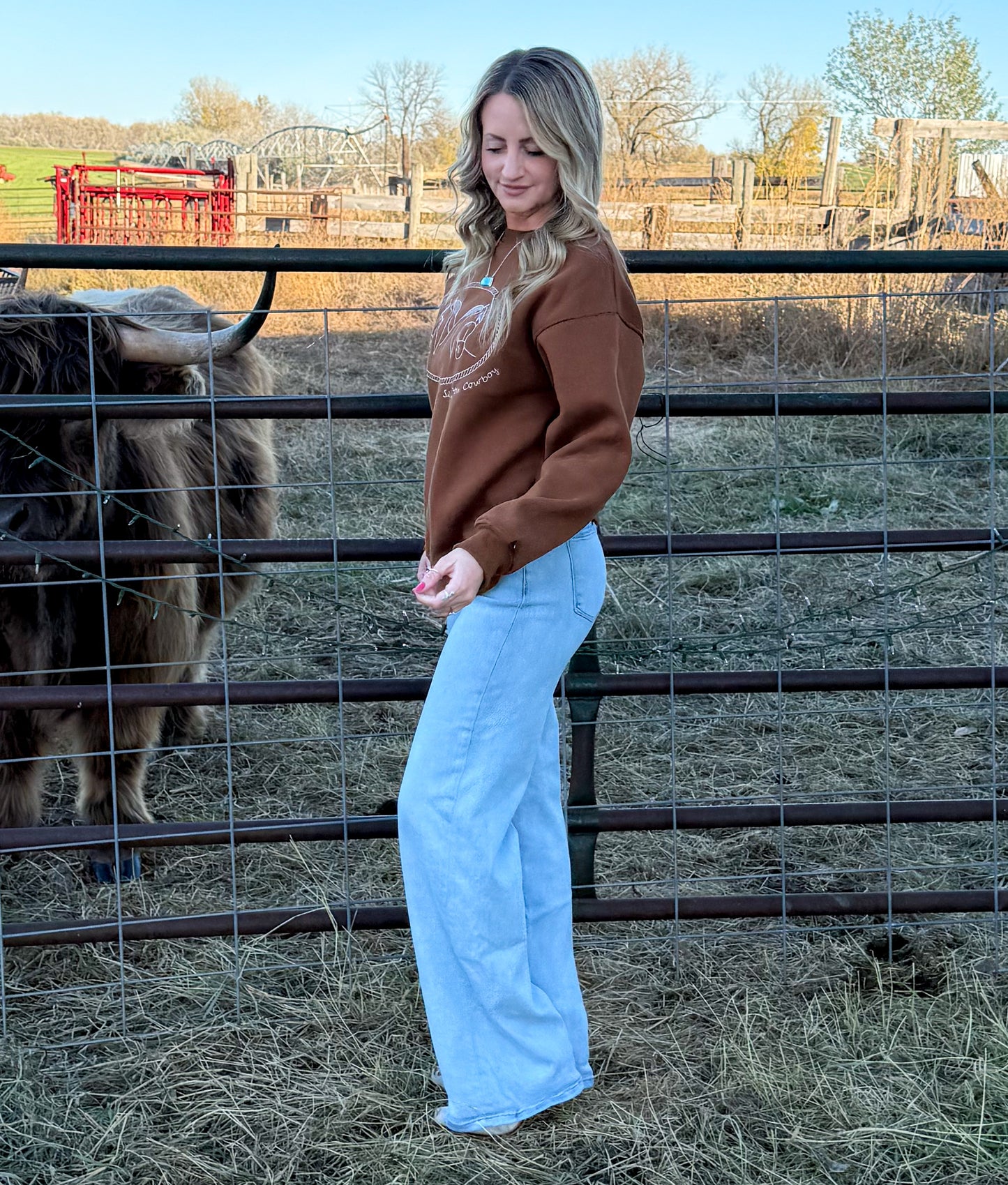 Rusty Horses Sweatshirt
