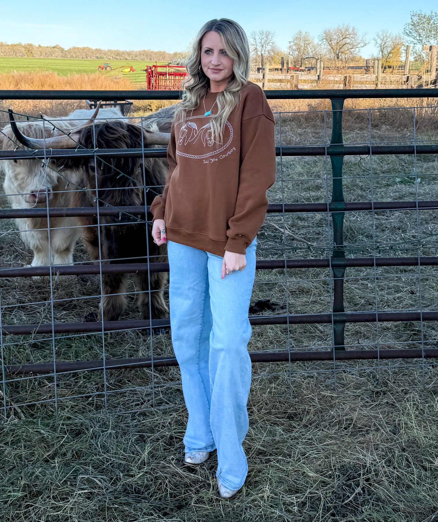 Rusty Horses Sweatshirt