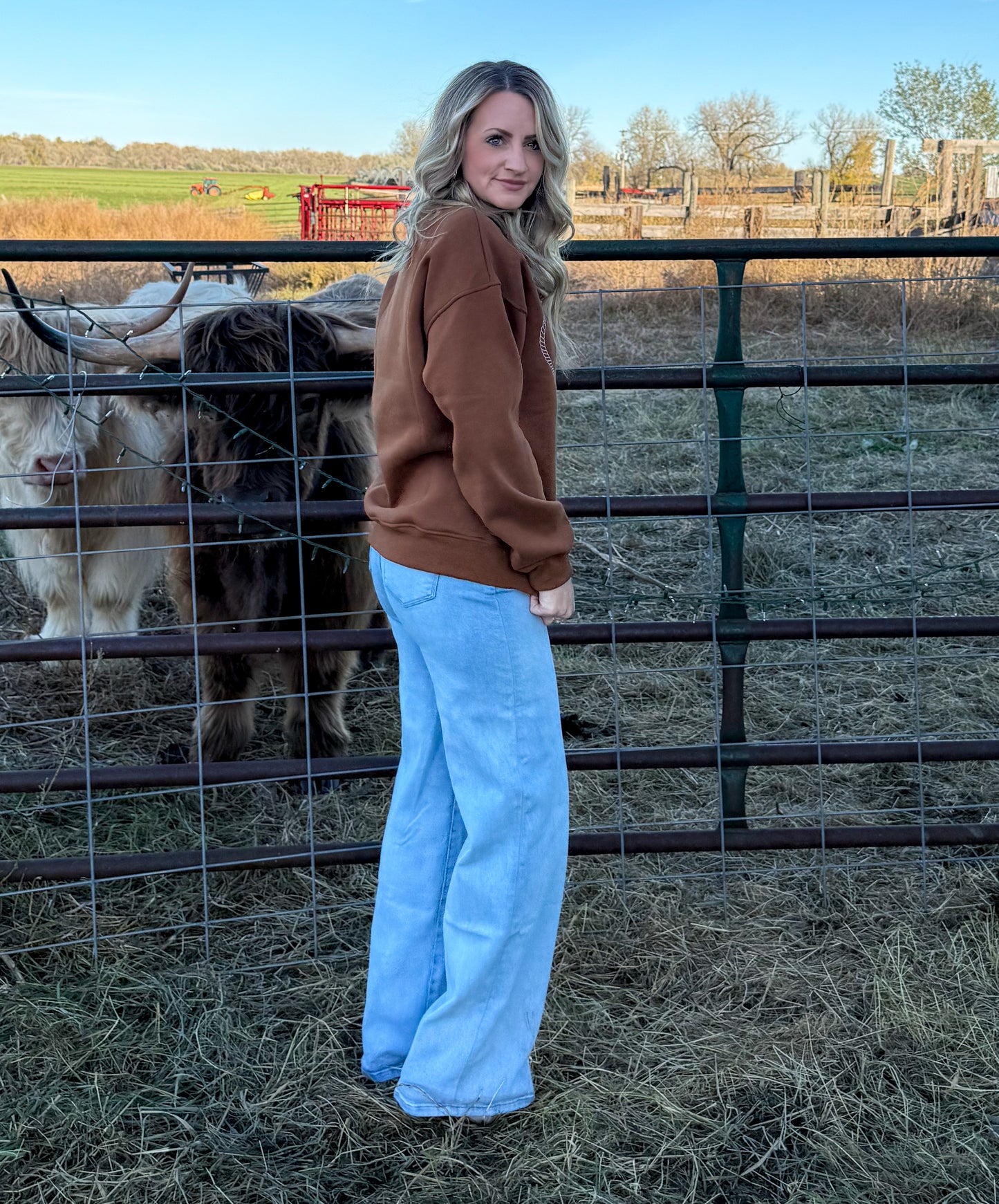 Rusty Horses Sweatshirt