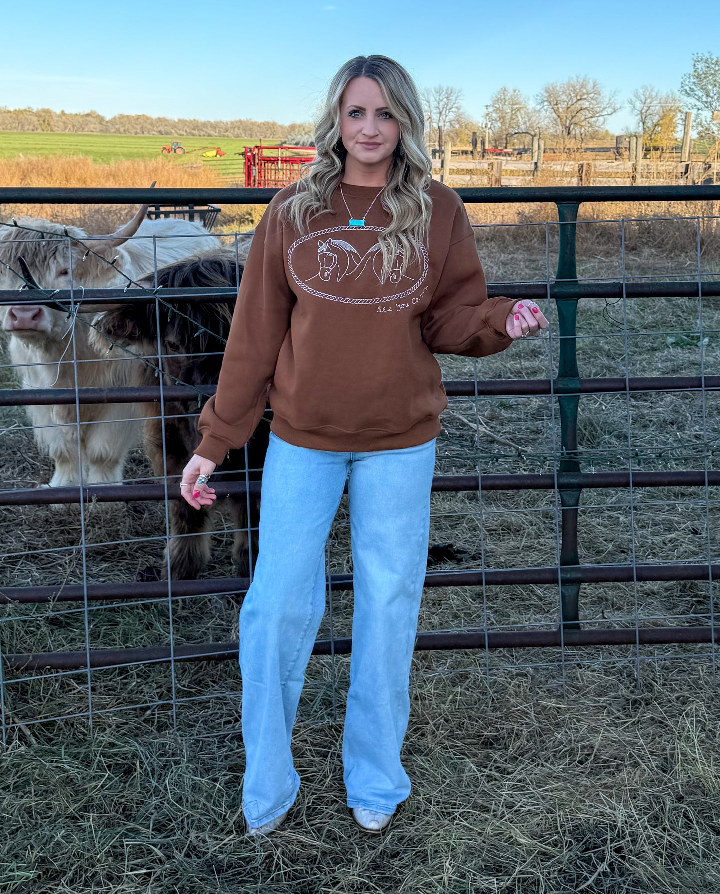 Rusty Horses Sweatshirt
