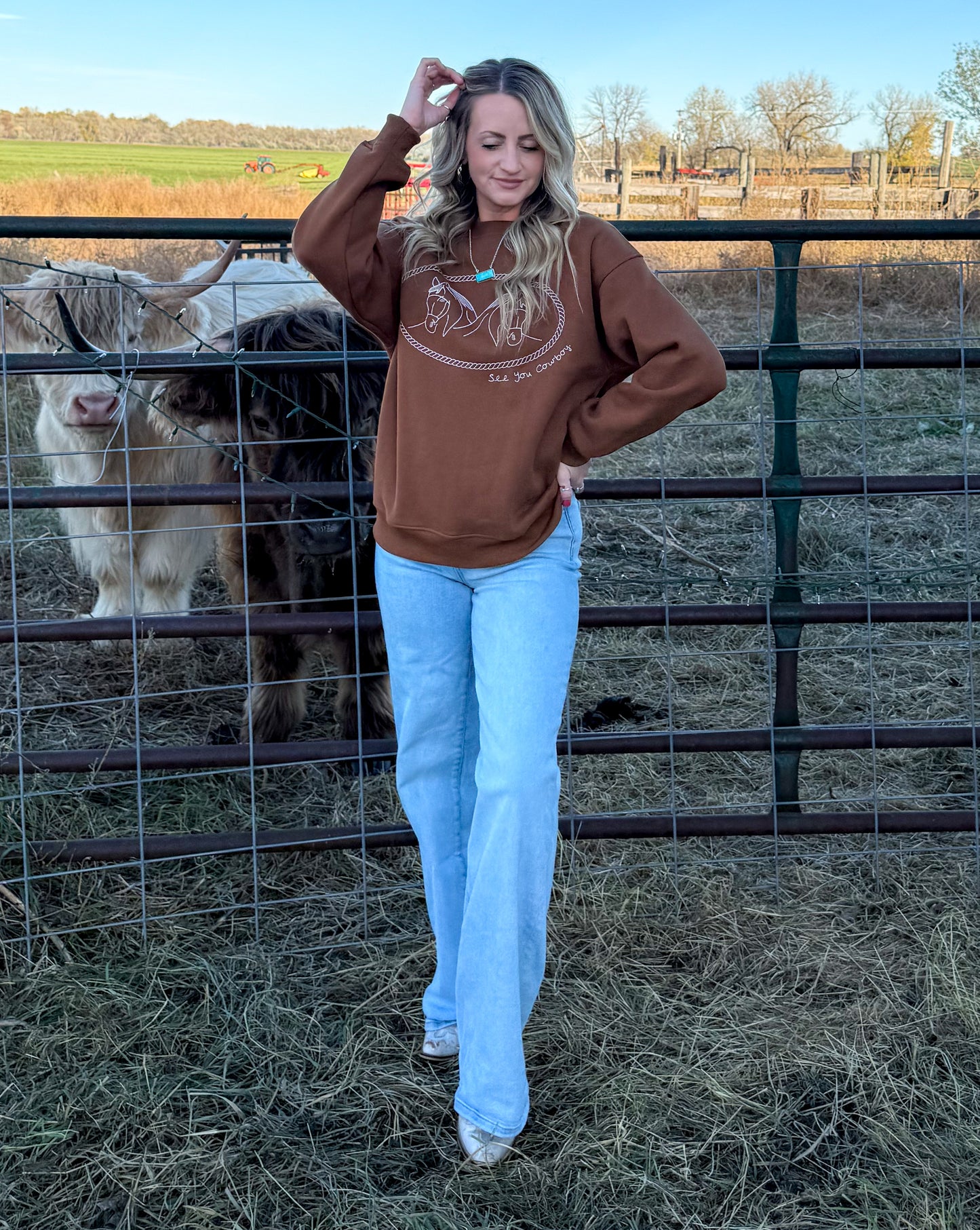 Rusty Horses Sweatshirt