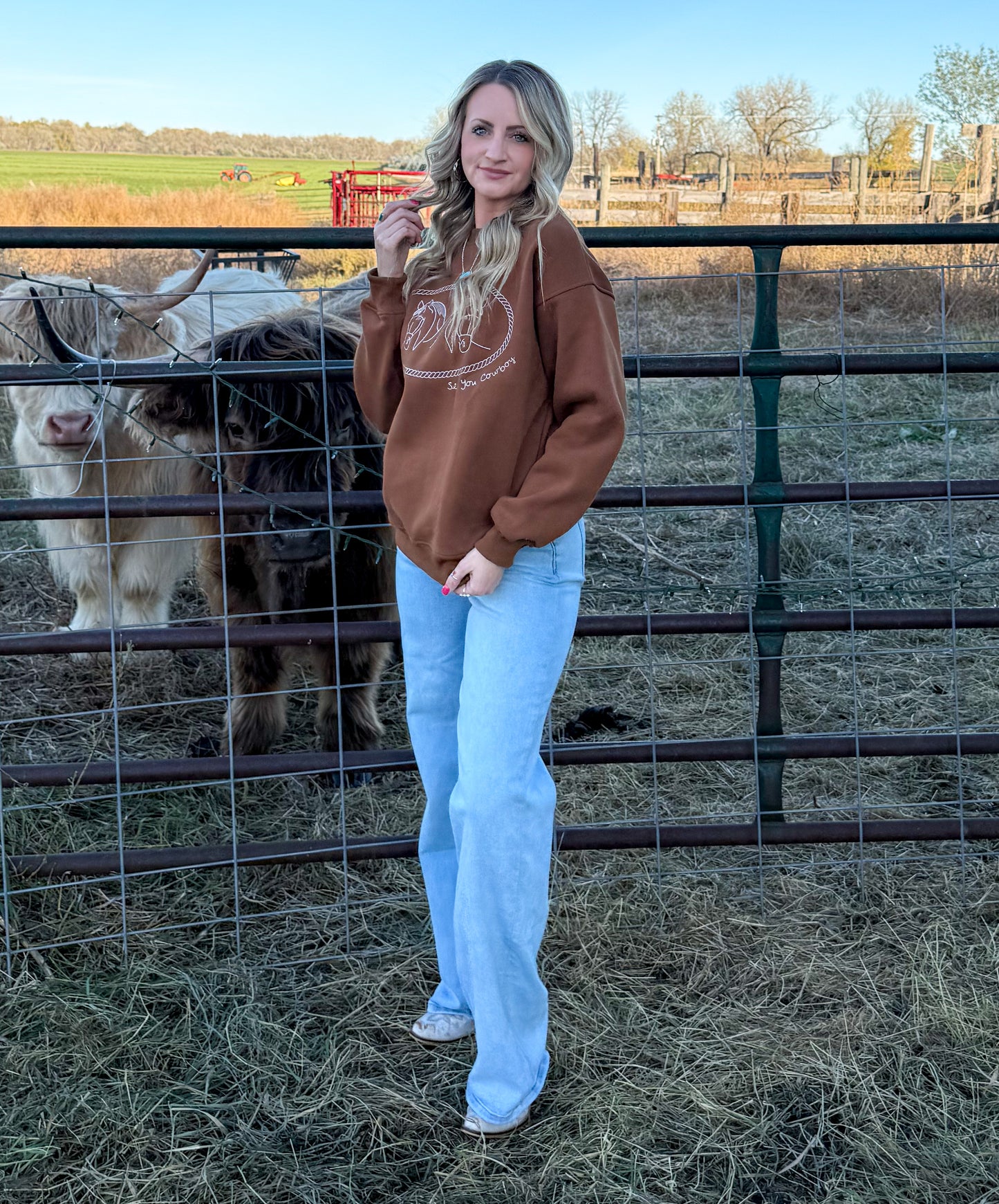Rusty Horses Sweatshirt