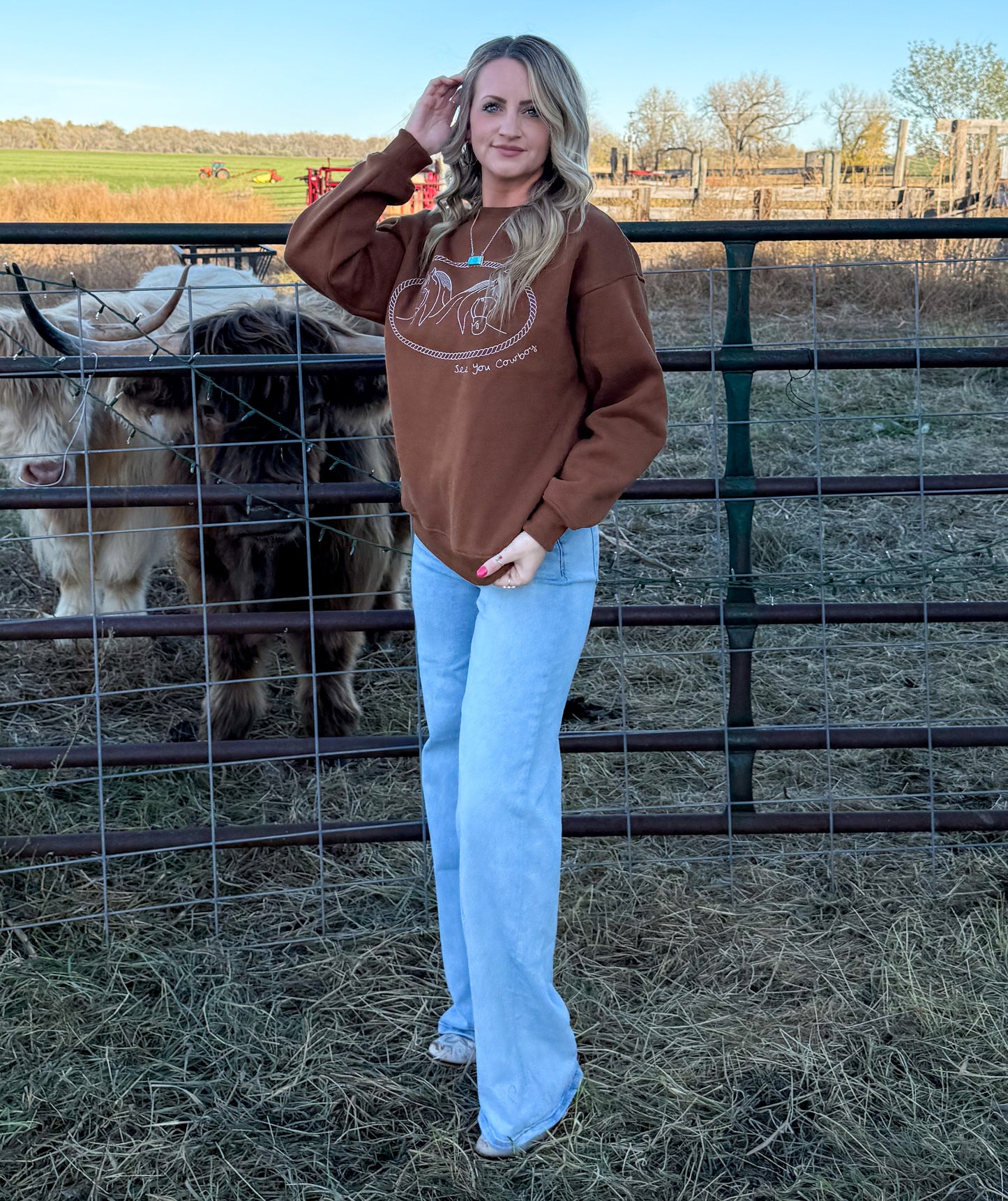 Rusty Horses Sweatshirt
