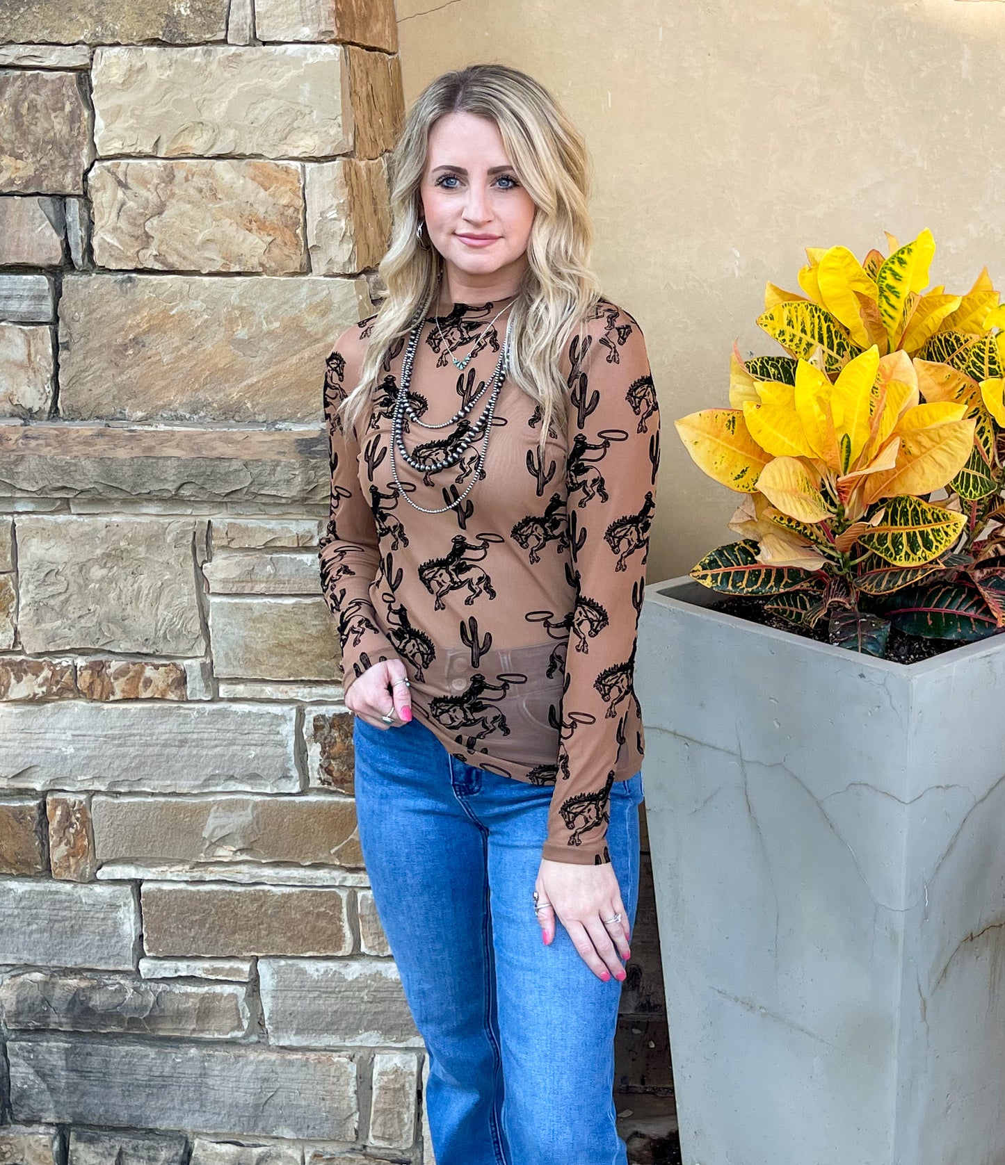 Lasso 3D Mesh Top