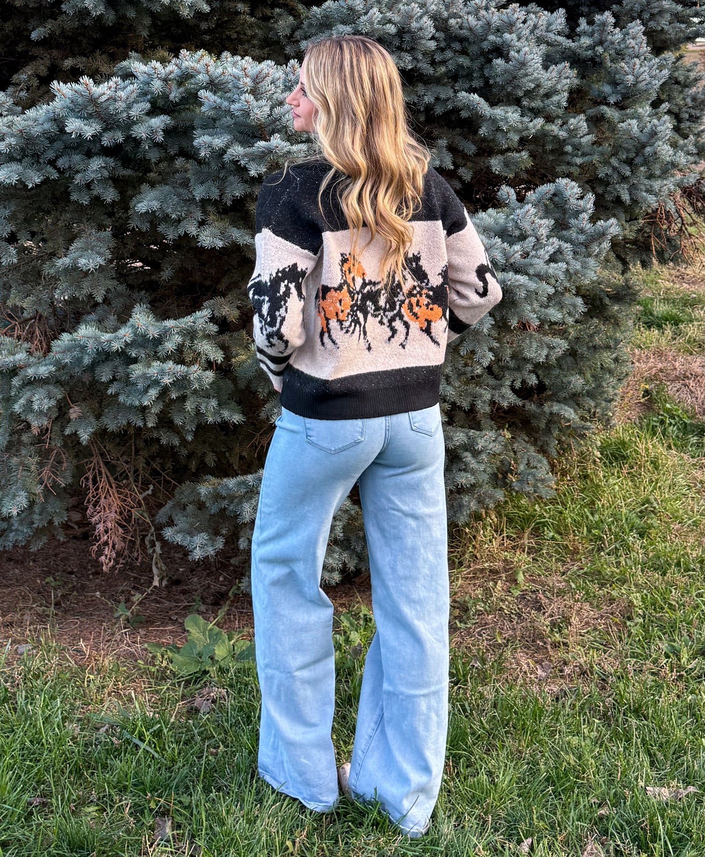 Cody Horses Cardigan