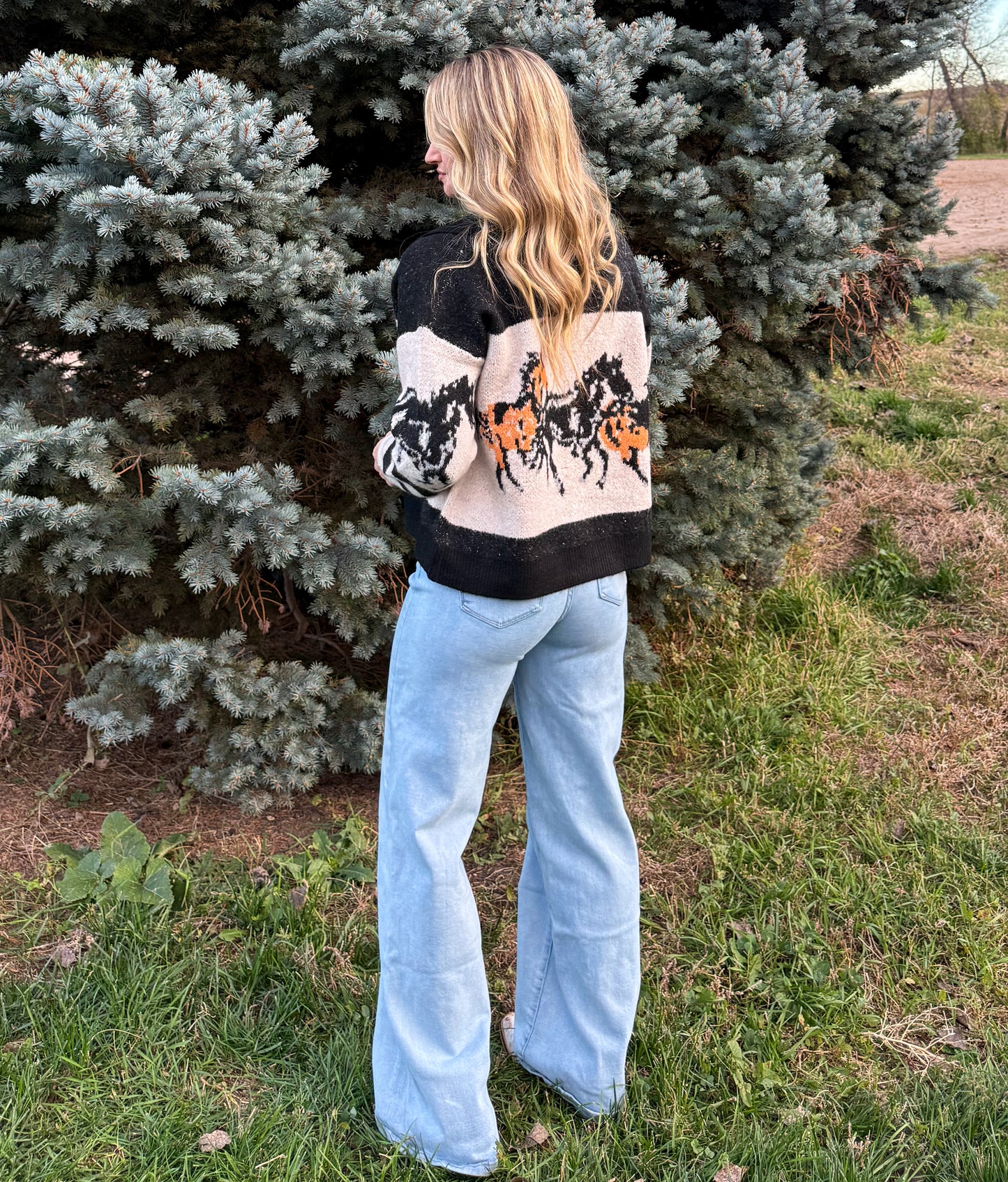Cody Horses Cardigan