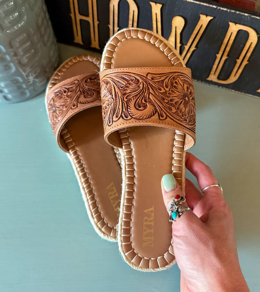 Horizon Creek Slides