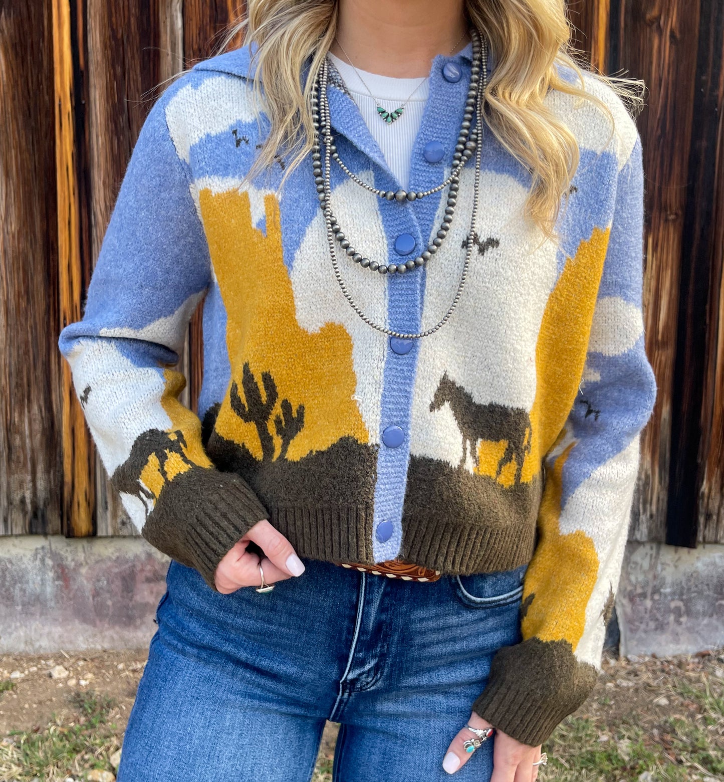 Arizona Sweater Top