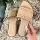 Dally Slides