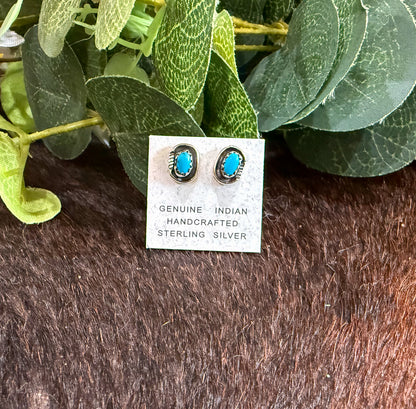 Small Turquoise Earrings