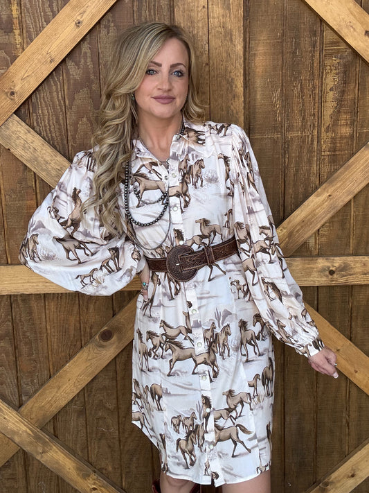 Wild & Free Dress