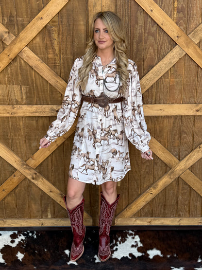 Wild & Free Dress