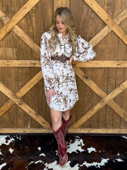 Wild & Free Dress