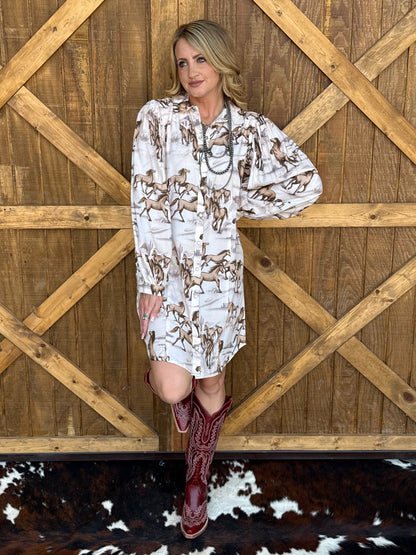 Wild & Free Dress