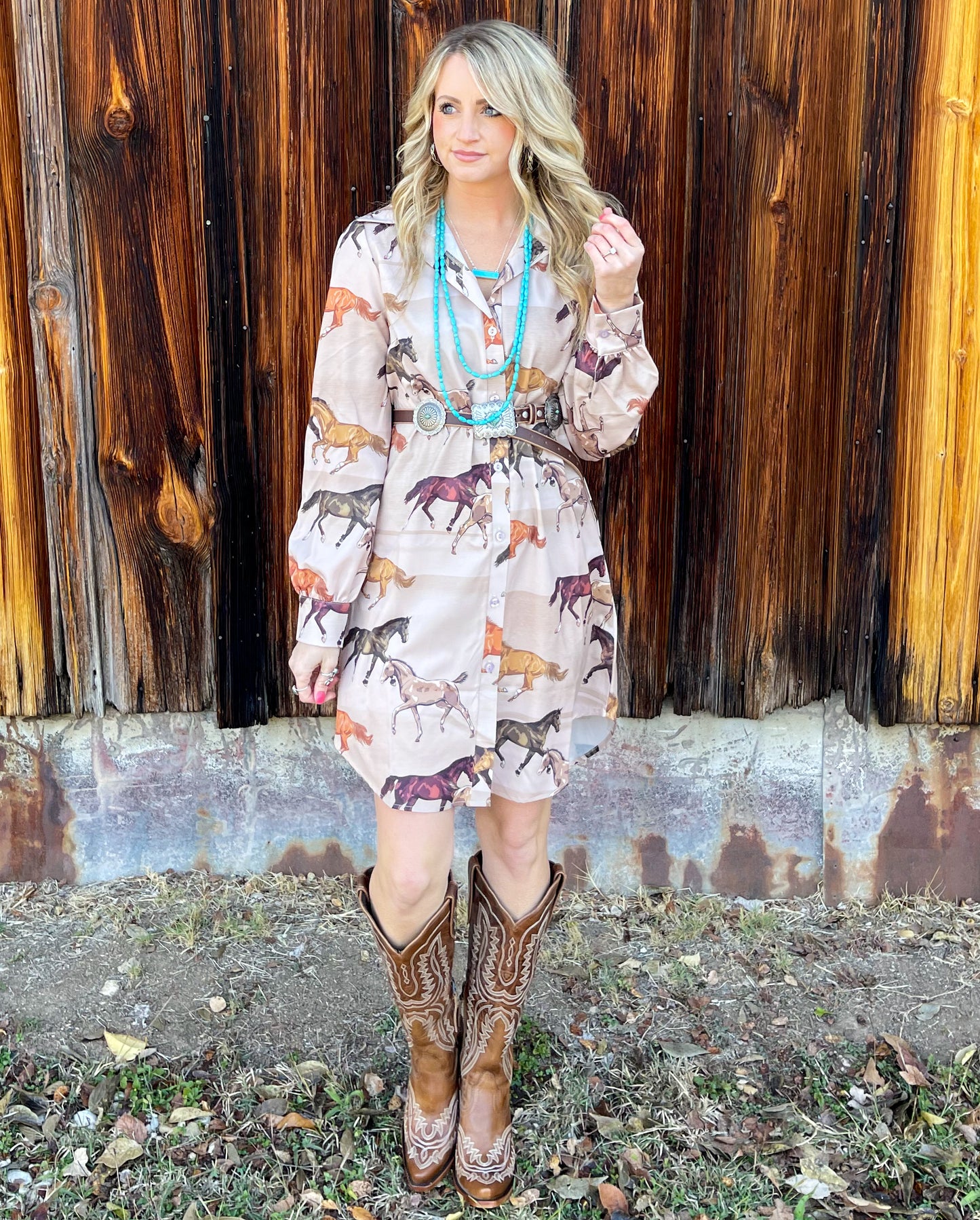 The Wild Horses Button Down Dress