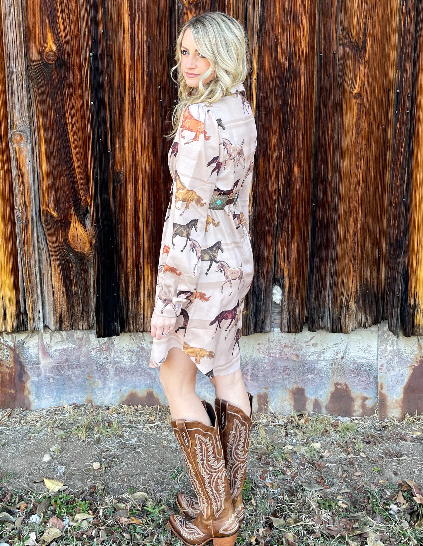 The Wild Horses Button Down Dress