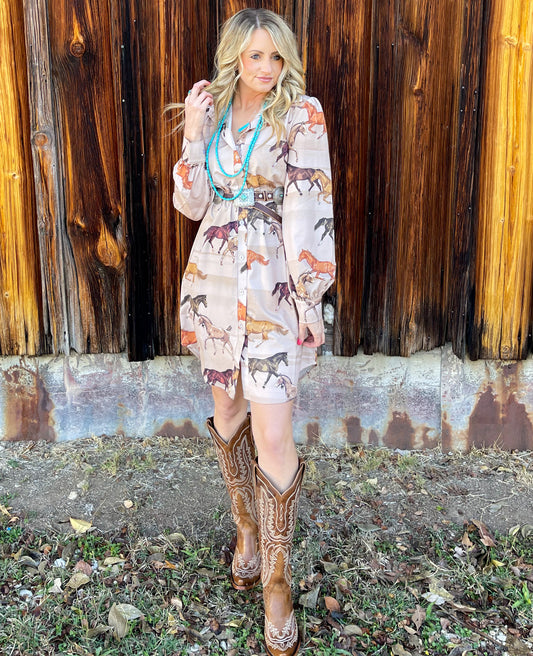 The Wild Horses Button Down Dress