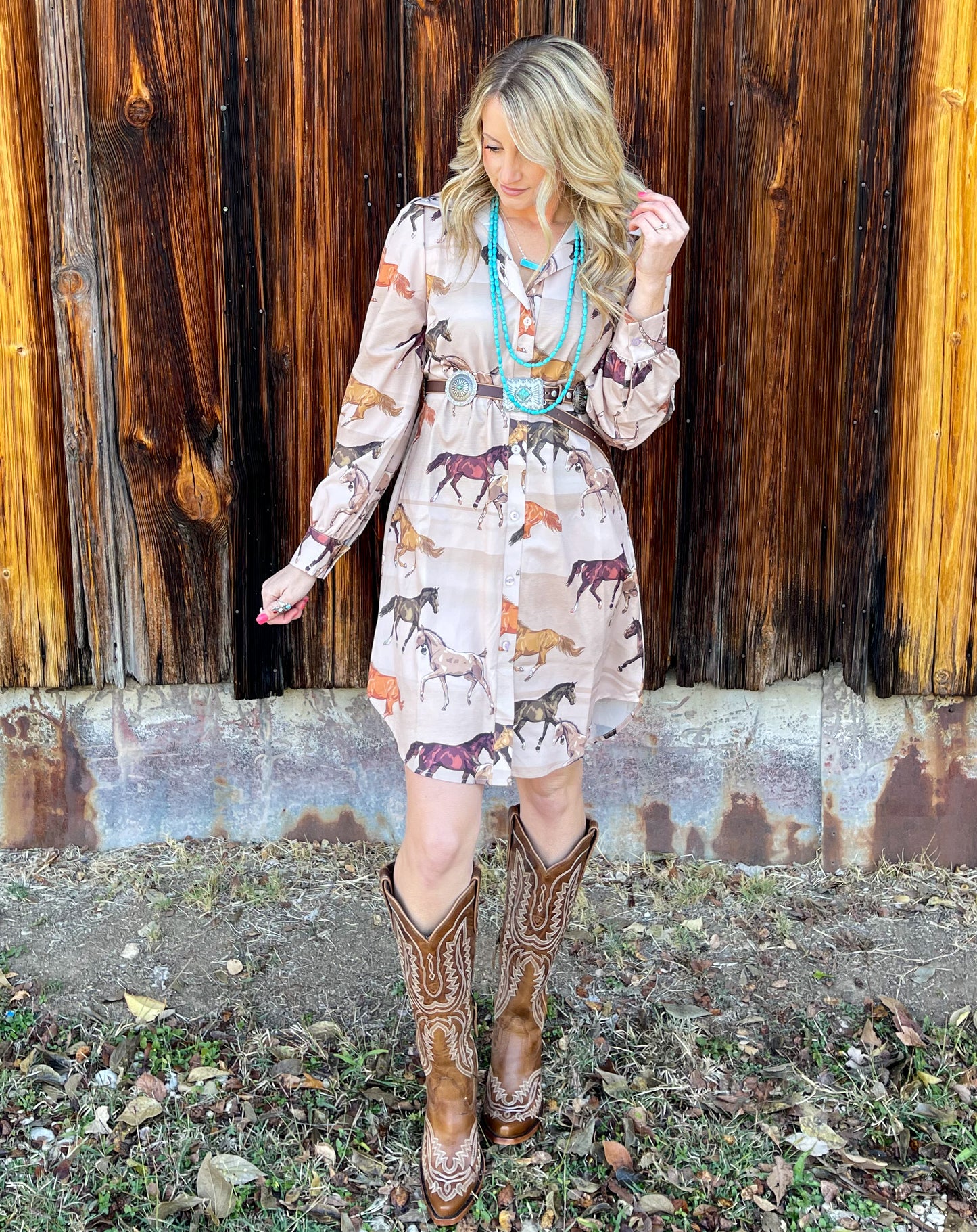 The Wild Horses Button Down Dress