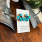Wild Bill Turquoise Earrings