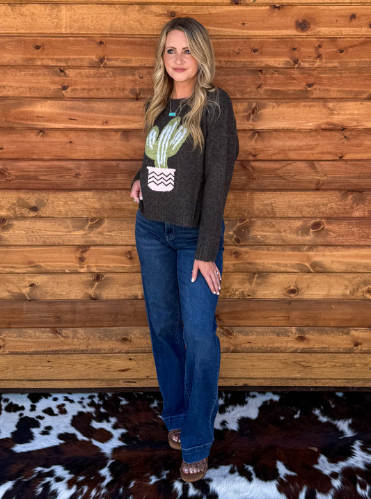 Cozy Cactus Sweater