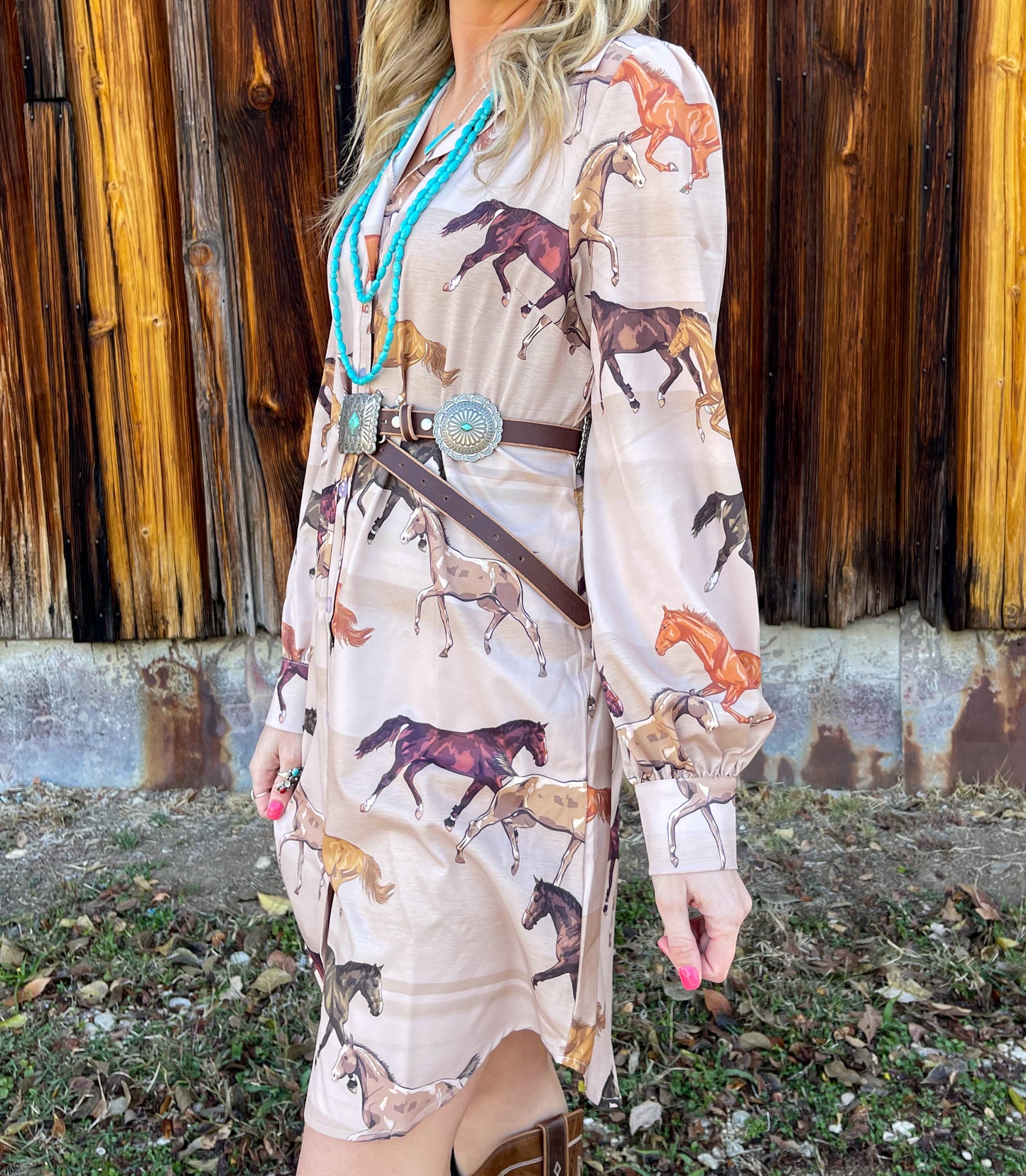 The Wild Horses Button Down Dress