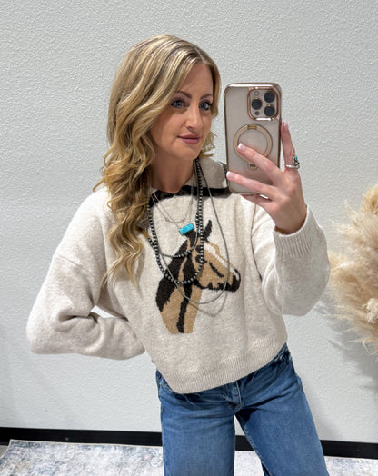 Collared Horse Sweater