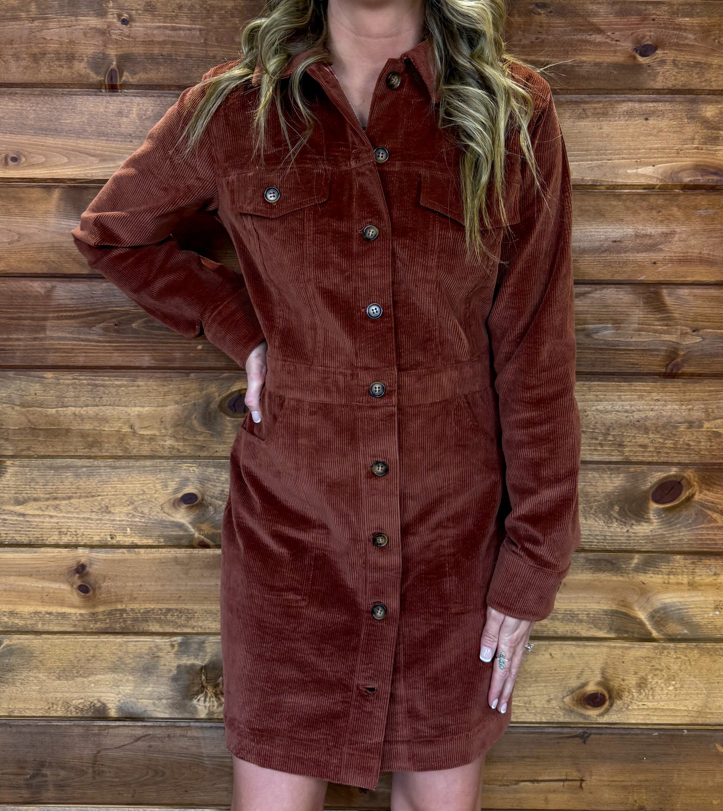 The Canyon Corduroy dress