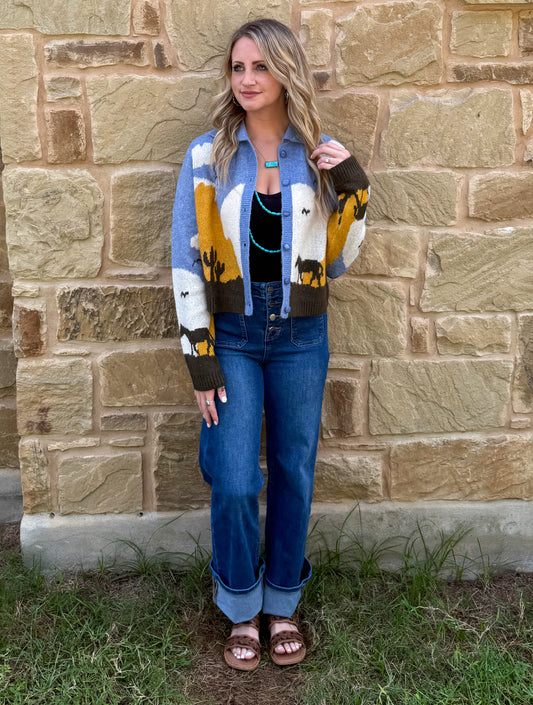 Sunset Horse Cardigan