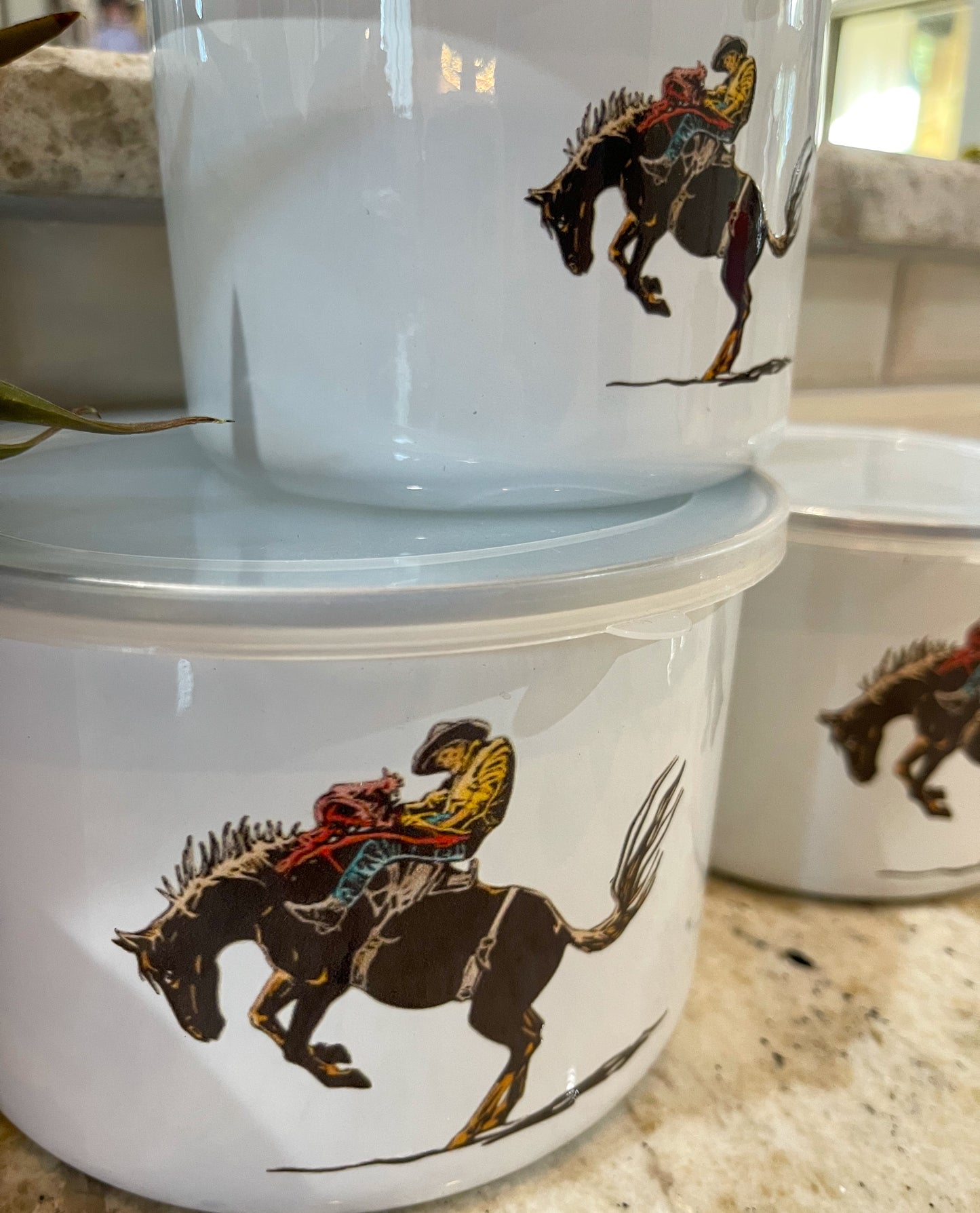 Buckaroo Storage Bowl Set