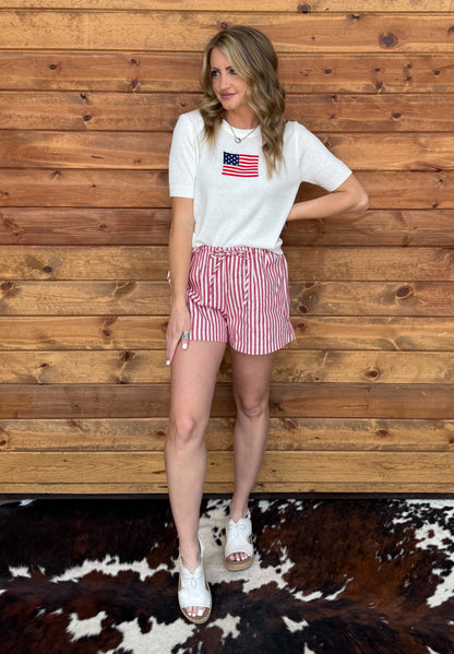 American Flag Top