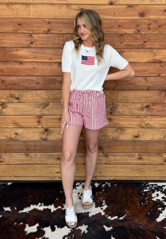 American Flag Top