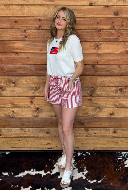 American Flag Top