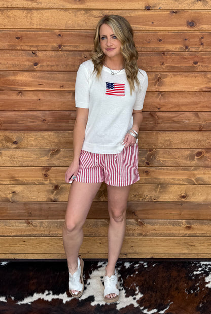 American Flag Top