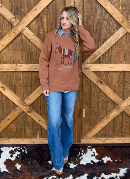 The Donkey Sweater